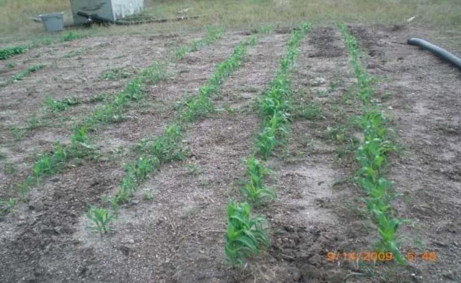 Land Acquisition